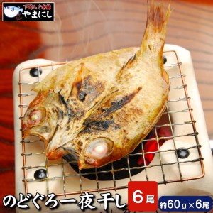 下関産 のどぐろ 高級魚 開き干し 干物 6尾 のどぐろ開き 360g ノドグロ ( のどぐろ のどぐろ のどぐろ のどぐろ のどぐろ のどぐろ のどぐろ のどぐろ のどぐろ のどぐろ のどぐろ のどぐろ のどぐろ のどぐろ のどぐろ のどぐろ のどぐろ のどぐろ のどぐろ のどぐろ のどぐろ のどぐろ のどぐろ のどぐろ のどぐろ のどぐろ のどぐろ のどぐろ のどぐろ のどぐろ のどぐろ のどぐろ のどぐろ のどぐろ のどぐろ のどぐろ のどぐろ のどぐろ のどぐろ のどぐろ のどぐろ のどぐろ のどぐろ のどぐろ のどぐろ のどぐろ干物 干物 干物 干物 干物 干物 干物 干物 干物 干物 干物 干物 干物 干物 干物 干物 干物 干物 干物 干物 干物 干物 干物 干物 干物 干物 干物 干物 干物 干物 干物 干物 干物 干物 干物 干物 干物 干物 干物 干物 干物 干物 干物 干物 干物 干物 干物 干物 干物 干物 干物 干物 干物 干物 干物 干物 干物 干物 干物 干物 干物 干物 干物 干物 干物 干物 干物 干物 干物 干物 干物 干物 干物 干物 干物 干物 干物 干物 干物 干物 干物 干物 干物 干物 干物 干物 干物 干物 干物 干物 干物 干物 干物 干物 干物 干物 干物 干物 干物 干物 干物 干物 干物 干物 干物 干物 干物 干物 干物 干物 干物 干物 干物 干物 干物 干物 干物 干物 干物 干物 干物 干物 干物 干物 干物 干物 干物 干物 干物 干物 干物 干物 干物 干物 干物 干物 干物 干物 干物 干物 干物 干物 干物 干物 干物 干物 干物 干物 干物 干物 干物 干物 干物 干物 干物 干物 干物 干物 干物 干物 干物 干物 干物 干物 干物 干物 干物 干物 干物 干物 干物 干物 干物 干物 干物 干物 干物 干物 干物 干物 干物 干物 干物 干物 干物 干物 干物 干物 干物 干物 干物 干物 干物 干物 干物 干物 干物 干物 干物 干物 干物 干物 干物 干物 干物 干物 干物 干物 干物 干物 干物 干物 干物 干物 干物 干物 干物 干物 干物 干物 干物 干物 干物 干物 干物 干物 干物 干物 干物 干物 干物 干物 干物 干物 干物 干物 干物 干物 干物 ) AU222-NT