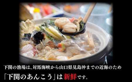 あんこう 鍋 800g 下関 あん肝 入り 味噌 ダレ 付 AU303-NT