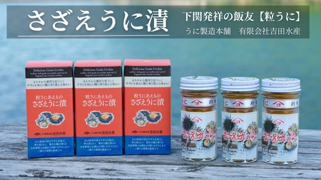 粒うに サザエ漬け 55g 3本 うに ED