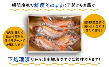のどぐろ 中 サイズ 4尾 高級 魚 鮮魚 冷凍 アカムツ 下処理 済 下関 EY002_1