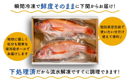 のどぐろ 特大 サイズ 2尾 高級 魚 鮮魚 冷凍 アカムツ 下処理 済 下関 産 EY001