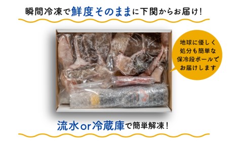 天然 クエ 鍋セット 600g 冷凍 クエ EY006