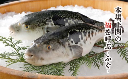 とらふぐ鍋 2人前 冷凍 身皮 ちり セット 海鮮鍋 魚介 フグ FG