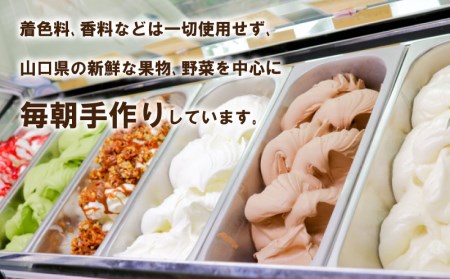 アイス ジェラート8種 16個 アイス EP