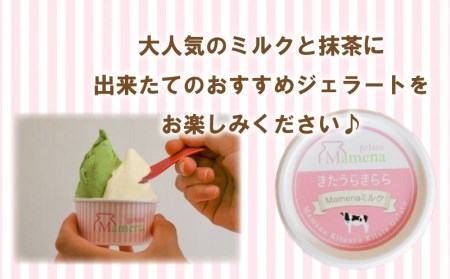 アイス ジェラート8種 16個 アイス EP