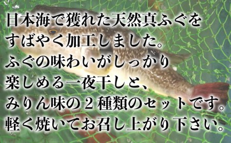 真ふぐ 一夜干し みりん干し セット 500g 2 1kg 冷凍 ふぐ マフグ おかず おつまみ 下関 ギフト 贈答 山口県下関市 ふるさと納税サイト ふるなび