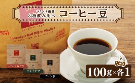 スペシャルティ コーヒー 3種 飲み比べ セット お取り寄せ ブレンド インドネシア エチオピア 100g × 各1袋 新鮮 無農薬 贈り物 下関市 山口 EW001-NT