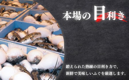 国産とらふぐ 刺身 セット 4~5人前 ふぐ松前付 冷凍 下関 山口 ふぐ特集 秋 冬 KA3011