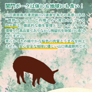 関門ポーク バターポークカレー 5袋 カレー EW110