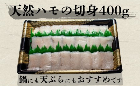 ハモしゃぶ鍋セット 2~3人前 400g 冷凍 鱧 高級魚 しゃぶしゃぶ 天ぷらにも ポン酢 もみじ 付き 下関 BV015
