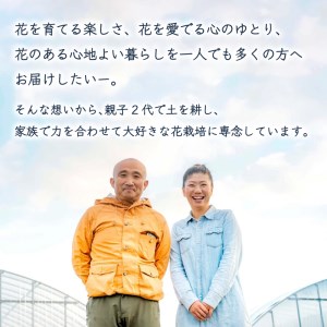 花 ゆり 5本 蕾 約20個 オリエンタルリリー 切り花 下関 山口 GJ001