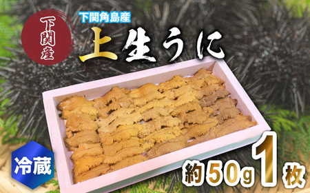 生うに 上品 1枚 約50g 紫うに 赤うに 冷蔵 下関 唐戸市場 直送 ( うに ムラサキウニ アカウニ 生うに 雲丹 角島産うに 下関生うに 板うに ウニ 雲丹 うに 紫ウニ ウニ丼 魚介 海産物 海の幸 うに丼 うに刺身 おつまみうに 冷蔵生うに 新鮮うに 角島うに うに 雲丹 うに 雲丹 うに 雲丹 うに 雲丹 うに 雲丹 うに 雲丹 うに 雲丹 うに 雲丹 うに 雲丹 うに 雲丹 うに 雲丹 うに 雲丹 うに 雲丹 ウニ うに 雲丹 ウニ うに 雲丹 ウニ うに 雲丹 ウニ うに 雲丹 ウニ うに 雲丹 ウニ うに 雲丹 ウニ うに 雲丹 ウニ うに 雲丹 ウニ うに 雲丹 ウニ うに 雲丹 ウニ うに 雲丹 ウニ ) FY009