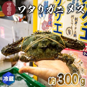 ワタリガニ メス 約300g 冷蔵 ガザミ 蟹 下関 唐戸市場 直送 冬季