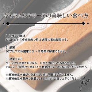 スイーツ 人気 キャラメル テリーヌ 1本(19cm / 500g) 冷凍 ケーキ ショコラ ベルギーチョコ 洋菓子下関市 山口 EN203