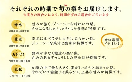 数量限定!!】梨 秀品 品種おまかせ 5kg セット 10玉 ～ 12玉 なし 豊水