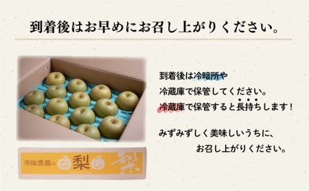 数量限定!!】梨 秀品 品種おまかせ 5kg セット 10玉 ～ 12玉 なし 豊水