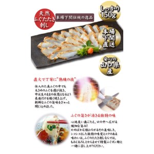 ふぐ刺身たたき50g3皿 炙りまふぐ 鮮魚鮮魚鮮魚鮮魚鮮魚鮮魚鮮魚AU