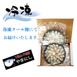 ふぐ あんこう しゃぶしゃぶ 食べ比べセット 2人前 冷凍 海鮮鍋 魚介 鮮魚 鮟鱇 フグ  AU427