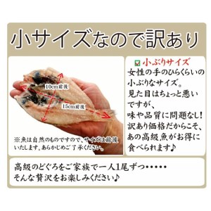 のどぐろ 開き 干し 3尾 生茶漬け 1食 セット 下関 山口 AU410