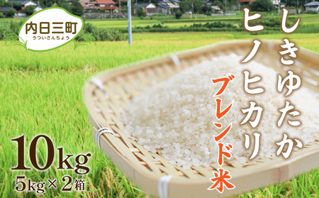 山口県産 Wブレンド米 しきゆたか ひのひかり 10kg×1箱（5kg×2袋） 好評につき完売！ ( お米 おこめ こめ コメ ご飯 ごはん 無洗米 ブレンド米 内日三町 銘柄米 ) DZ021