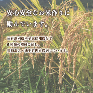 山口県産 Wブレンド米 しきゆたか ひのひかり 10kg×1箱（5kg×2袋） 好評につき完売！ ( お米 おこめ こめ コメ ご飯 ごはん 無洗米 ブレンド米 内日三町 銘柄米 ) DZ021