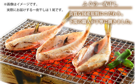 ふぐ刺し 一夜干し セット 冷凍 刺身 ギフト 父の日 【ふぐふぐ】