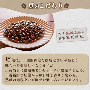 【中挽き】 訳あり コーヒー豆 1kg ( 500g × 2袋 ) ブラジル 2024年度入荷分 コーヒー 珈琲 コーヒー豆 出荷当日 自家焙煎 コーヒー EW144-C