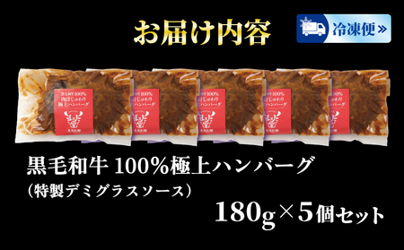 【国産黒毛和牛】ハンバーグ 100% 5個 計900g 小分け 冷凍ハンバーグHW002