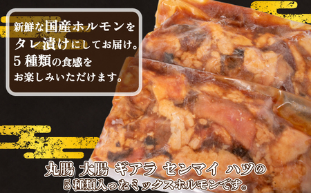 国産 ホルモン ミックス タレ 漬け 1kg 冷凍 牛肉 牛ホルモン 小分け 500g × 2パック センマイ 丸腸 大腸 ギアラ せんまい ハツ 下関 山口 FI006 ( 焼肉 肉 老舗 伊藤精肉店 肉特集 ホルモン 牛ホルモン ミックスホルモン )