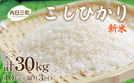 【定期便】山口 県産 コシヒカリ 10㎏ 隔月3回 (合計30㎏)  無洗米 エコ50 特別栽培米 農家直送 (科学農薬・肥料50％以上削減/精米まで一貫加工) ( 定期便 米 定期便 米 定期便 米 定期便 米 定期便 米 定期便 米 定期便 米 定期便 米 定期便 米 定期便 米 定期便 米 定期便 米 定期便 米 定期便 米 定期便 米 定期便 米 定期便 米 定期便 米 定期便 米 定期便 米 定期便 米 定期便 米 定期便 米 定期便 米 定期便 米 定期便 米 定期便 米 定期便 米 定期便 米 定期便 米 定期便 米 定期便 米 定期便 米 定期便 米 定期便 米 定期便 米 定期便 米 定期便 米 定期便 米 定期便 米 定期便 米 定期便 米 定期便 米 定期便 米 定期便 米 定期便 米 定期便 米 定期便 米 定期便 米 定期便 米 定期便 米 定期便 米 定期便 米 定期便 米 定期便 米 定期便 米 定期便 米 定期便 米 定期便 米 定期便 米 定期便 米 定期便 米 定期便 米 定期便 米 定期便 米 定期便 米 定期便 米 定期便 米 定期便 米 定期便 米 定期便 米 定期便 米 定期便 米 定期便 米 定期便 米 定期便 米 定期便 米 定期便 米 定期便 米 定期便 米 定期便 米 定期便 米 定期便 米 定期便 米 定期便 米 定期便 米 定期便 米 定期便 米 定期便 米 定期便 米 定期便 米 定期便 米 定期便 米 定期便 米 定期便 米 定期便 米 定期便 米 定期便 米 定期便 米 定期便 米 定期便 米 定期便 米 定期便 米 定期便 米 定期便 米 定期便 米 定期便 米 定期便 米 定期便 米 定期便 米 定期便 米 定期便 米 定期便 米 定期便 米 定期便 米 定期便 米 定期便 米 定期便 米 定期便 米 定期便 米 定期便 米 定期便 米 定期便 米 定期便 米 定期便 米 定期便 米 定期便 米 定期便 米 定期便 米 定期便 米 定期便 米 定期便 米 定期便 米 定期便 米 定期便 米 定期便 米 定期便 米 定期便 米 定期便 米 定期便 米 定期便 米 定期便 米 定期便 米 定期便 米 定期便 米 定期便 米 定期便 米 定期便 米 定期便 米 定期便 米 定期便 米 ) DZ8005