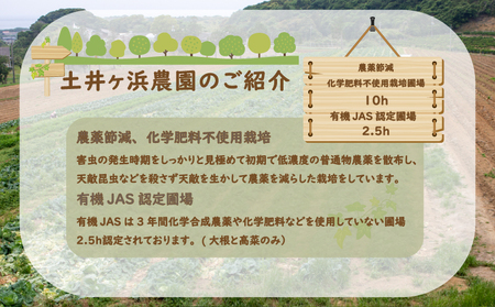 旬の 野菜 定期便 6回 お楽しみ 詰め合わせ セット 3種 ～ 8種 採れたて 新鮮 下関市 山口 野菜 野菜 野菜 野菜 野菜 野菜 野菜 野菜 野菜 野菜 野菜 野菜 野菜 野菜 野菜 野菜 野菜 野菜 野菜 野菜 野菜 野菜 野菜 野菜 野菜 野菜 野菜 野菜 野菜 野菜 野菜 野菜 野菜 野菜 野菜 野菜 野菜 野菜 野菜 野菜 野菜 野菜 野菜 野菜 野菜 野菜 野菜 野菜 野菜 野菜 野菜 野菜 野菜 野菜 野菜 野菜 野菜 野菜 野菜 野菜 野菜 野菜 野菜 野菜 野菜 野菜 野菜 野菜 野菜 野菜 野菜 野菜 野菜 野菜 野菜 野菜 野菜 野菜 野菜 野菜 野菜 野菜 野菜 野菜 野菜 野菜 野菜 野菜 野菜 野菜 野菜 野菜 野菜 野菜 野菜 野菜 野菜 野菜 野菜 野菜 野菜 野菜 野菜 野菜 野菜 野菜 野菜 野菜 野菜 野菜 野菜 野菜 野菜 野菜 野菜 野菜 野菜 野菜 野菜 野菜 野菜 野菜 野菜 野菜 野菜 野菜 野菜 野菜 野菜 野菜 野菜 野菜 野菜 野菜 野菜 野菜 野菜 野菜 野菜 野菜 野菜 野菜 野菜 野菜 野菜 野菜 野菜 野菜 野菜 野菜 野菜 野菜 野菜 野菜 野菜 野菜 野菜 野菜 野菜 野菜 野菜 野菜 野菜 野菜 野菜 野菜 野菜 野菜 野菜 野菜 野菜 野菜 野菜 野菜 野菜 野菜 野菜 野菜 野菜 野菜 野菜 野菜 野菜 野菜 野菜 野菜 野菜 野菜 野菜 野菜 野菜 野菜 野菜 野菜 野菜 野菜 野菜 野菜 野菜 野菜 野菜 野菜 野菜 野菜 野菜 野菜 野菜 野菜 野菜 野菜 野菜 野菜 野菜 野菜 野菜 野菜 野菜 野菜 野菜 野菜 野菜 野菜 野菜 野菜 野菜 野菜 野菜 野菜 野菜 野菜 野菜 野菜 野菜 野菜 野菜 野菜 野菜 野菜 野菜 野菜 野菜 野菜 野菜 野菜 野菜 野菜 野菜 野菜 野菜 野菜 野菜 野菜 野菜 野菜 野菜 野菜 野菜 野菜 野菜 野菜 野菜 野菜 野菜 野菜 野菜 野菜 野菜 野菜 野菜 野菜 野菜 野菜 野菜 野菜 野菜 野菜 野菜 野菜 野菜 野菜 野菜 野菜 野菜 野菜 野菜 野菜 野菜 野菜 野菜 野菜 野菜 野菜 野菜 野菜 野菜 野菜 野菜 野菜 野菜 野菜 野菜 野菜 野菜 野菜 野菜 野菜 野菜 野菜 野菜 野菜 野菜 野菜 野菜 野菜 HZ005