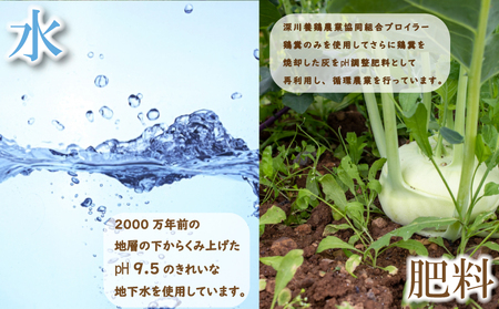 旬の 野菜 定期便 6回 お楽しみ 詰め合わせ セット 3種 ～ 8種 採れたて 新鮮 下関市 山口 野菜 野菜 野菜 野菜 野菜 野菜 野菜 野菜 野菜 野菜 野菜 野菜 野菜 野菜 野菜 野菜 野菜 野菜 野菜 野菜 野菜 野菜 野菜 野菜 野菜 野菜 野菜 野菜 野菜 野菜 野菜 野菜 野菜 野菜 野菜 野菜 野菜 野菜 野菜 野菜 野菜 野菜 野菜 野菜 野菜 野菜 野菜 野菜 野菜 野菜 野菜 野菜 野菜 野菜 野菜 野菜 野菜 野菜 野菜 野菜 野菜 野菜 野菜 野菜 野菜 野菜 野菜 野菜 野菜 野菜 野菜 野菜 野菜 野菜 野菜 野菜 野菜 野菜 野菜 野菜 野菜 野菜 野菜 野菜 野菜 野菜 野菜 野菜 野菜 野菜 野菜 野菜 野菜 野菜 野菜 野菜 野菜 野菜 野菜 野菜 野菜 野菜 野菜 野菜 野菜 野菜 野菜 野菜 野菜 野菜 野菜 野菜 野菜 野菜 野菜 野菜 野菜 野菜 野菜 野菜 野菜 野菜 野菜 野菜 野菜 野菜 野菜 野菜 野菜 野菜 野菜 野菜 野菜 野菜 野菜 野菜 野菜 野菜 野菜 野菜 野菜 野菜 野菜 野菜 野菜 野菜 野菜 野菜 野菜 野菜 野菜 野菜 野菜 野菜 野菜 野菜 野菜 野菜 野菜 野菜 野菜 野菜 野菜 野菜 野菜 野菜 野菜 野菜 野菜 野菜 野菜 野菜 野菜 野菜 野菜 野菜 野菜 野菜 野菜 野菜 野菜 野菜 野菜 野菜 野菜 野菜 野菜 野菜 野菜 野菜 野菜 野菜 野菜 野菜 野菜 野菜 野菜 野菜 野菜 野菜 野菜 野菜 野菜 野菜 野菜 野菜 野菜 野菜 野菜 野菜 野菜 野菜 野菜 野菜 野菜 野菜 野菜 野菜 野菜 野菜 野菜 野菜 野菜 野菜 野菜 野菜 野菜 野菜 野菜 野菜 野菜 野菜 野菜 野菜 野菜 野菜 野菜 野菜 野菜 野菜 野菜 野菜 野菜 野菜 野菜 野菜 野菜 野菜 野菜 野菜 野菜 野菜 野菜 野菜 野菜 野菜 野菜 野菜 野菜 野菜 野菜 野菜 野菜 野菜 野菜 野菜 野菜 野菜 野菜 野菜 野菜 野菜 野菜 野菜 野菜 野菜 野菜 野菜 野菜 野菜 野菜 野菜 野菜 野菜 野菜 野菜 野菜 野菜 野菜 野菜 野菜 野菜 野菜 野菜 野菜 野菜 野菜 野菜 野菜 野菜 野菜 野菜 野菜 野菜 野菜 野菜 野菜 野菜 野菜 野菜 野菜 野菜 野菜 野菜 HZ005