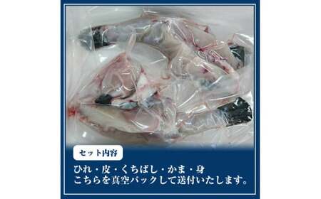 【北海道・東北・沖縄・離島配送不可／着日指定必須】市場直送！とらふぐ 身欠き 1匹分 600g前後 ふぐ