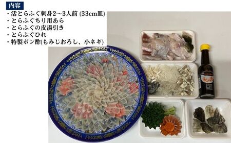 【北海道・東北・沖縄・離島配送不可／着日指定必須】2025年11月以降発送 活とらふぐ刺身 2～3人前 ふぐ