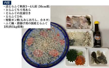 【北海道・東北・沖縄・離島配送不可／着日指定必須】2025年11月以降発送 活とらふぐ刺身 鍋用ふぐセット 3～4人前 ふぐ
