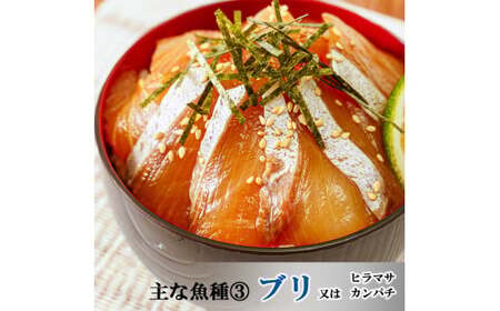 【3ヶ月 定期便】 魚かつ自家製　山口の海鮮漬け丼(はまち、ひらまさ、マグロ系等)3種×各2パック入 酒の肴に海鮮丼に茶漬けに飯ともに