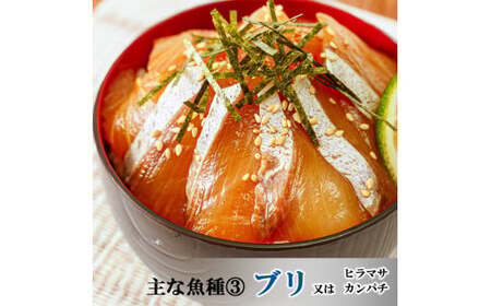 【12ヶ月 定期便】魚かつ自家製　山口の海鮮漬け丼(はまち、ひらまさ、マグロ系等)5種×各1パック入 酒の肴に海鮮丼に茶漬けに飯ともに