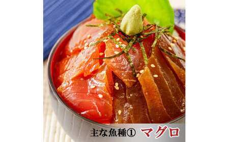【12ヶ月 定期便】魚かつ自家製　山口の海鮮漬け丼(はまち、ひらまさ、マグロ系等)4種×各2パック入 酒の肴に海鮮丼に茶漬けに飯ともに