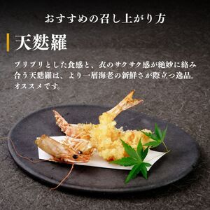 【活き〆】冷凍 車海老 12尾 400g 車海老 山口県 宇部市