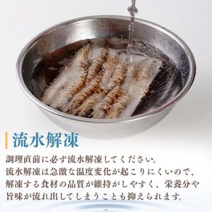 【活き〆】冷凍 車海老 12尾 400g 車海老 山口県 宇部市