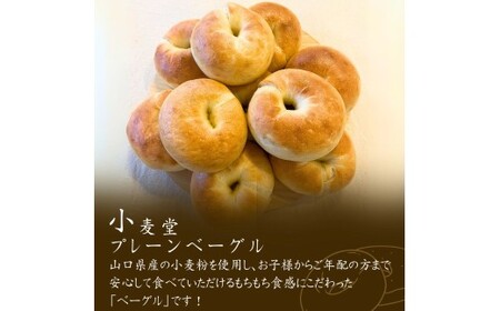 訳あり プレーンベーグル 10個 冷凍ベーグル