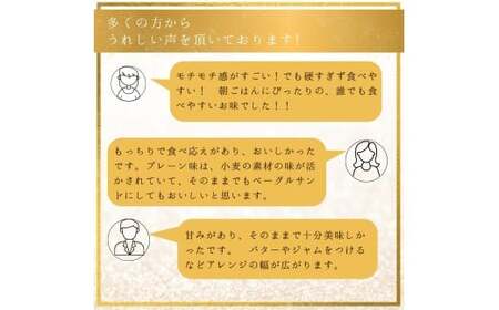訳あり プレーンベーグル 10個 冷凍ベーグル