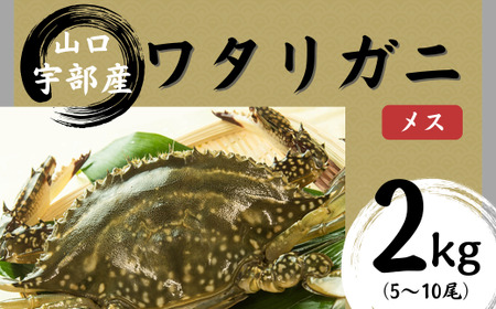 【北海道・東北・沖縄・離島配送不可／着日指定必須】ワタリガニ [メス] 約2kg(5～10尾) ワタリガニ