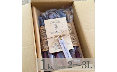 アスパラガス 訳あり オーガニック パープルアスパラガス   2L～3L 1kg 【先行予約】