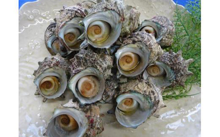 山口県産さざえのつぼ焼き