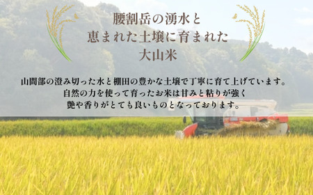 令和7年産 宇部市小野『大山産米』　精米10kg ヒカリ新世紀 コシヒカリ