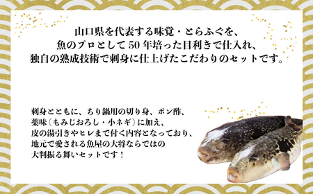 ★離島配送不可★【魚千代のふぐさし】国産とらふぐ刺身セット＜3～4人前＞（冷凍お届け） ｜厳選ふぐ とらふぐ ふぐ刺し ふぐ刺身 ふぐ鍋 ふぐちり ふぐ ふぐ料理  山口県 宇部市