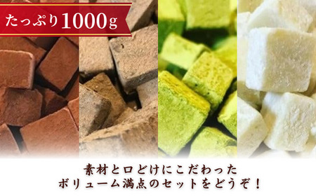 訳あり 濃厚 生チョコレート 4種セット 各250g 生チョコレート