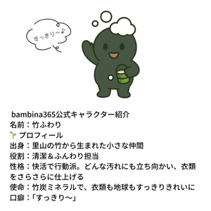 【洗剤】 竹ふわり 洗濯洗剤 定期便 (2カ月お届け)