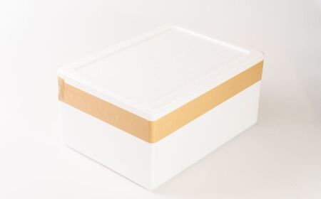 宇部産　白ミル貝　約500g ｜ 白ミル貝 白ミル貝 白ミル貝 白ミル貝 貝 宇部市 鍋 新鮮 貝 魚介 貝